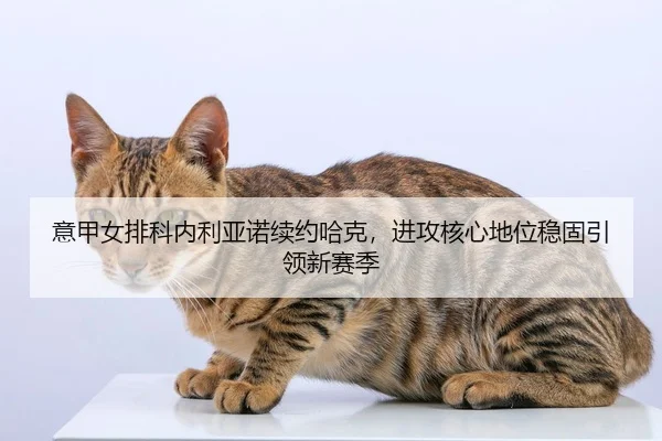 yi-jia-nv-pai-ke-nei-li-ya-nuo-xu-yue-ha-ke-jin-gong-he-xin-di-wei-wen-gu-yin-ling-xin-sai-ji-2-303.jpg