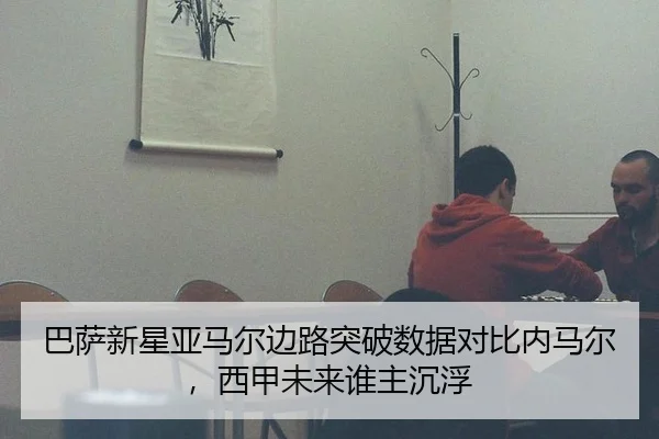 ba-sa-xin-xing-ya-ma-er-bian-lu-tu-po-shu-ju-dui-bi-nei-ma-er-xi-jia-wei-lai-shui-zhu-chen-fu-3-929.jpg